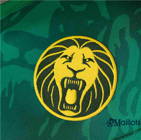 Grossiste Maillot de foot Cameroun Domicile Vert 2019 2020