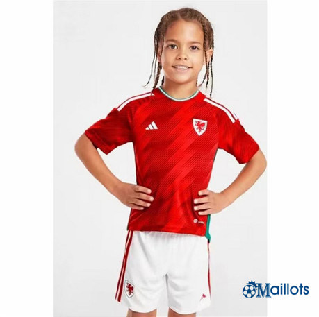 omaillots Maillot foot Pays de Galles Enfant Domicile 2022-2023 shopping