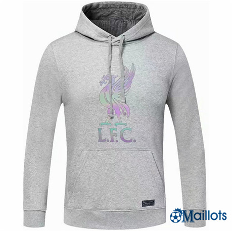 Omaillots Mode ‎ Maillot Foot Sweat à Capuche - Training FC Liverpool gris 2022